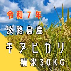 精米無料❗️令和7年 産 キヌヒカリ 玄米30キロ 淡路島 精米可30kg