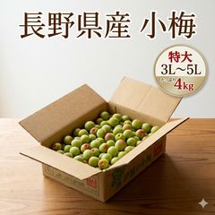！5/21 23時迄！【農家直送】和歌山県産　小梅　有機的栽培　約5㎏ 5/21 23時迄！【農家直送】和歌山県産 小梅 有機的栽培 約3㎏ - メルカリ