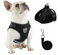 M/Lサイズのみ　メッシュ 犬用 ハーネス 胴輪 反射材料付き リード セット 超小型犬 小型犬 子犬 猫 散歩/訓練/お出掛 ペット はーねす 安全 抜けない 軽量 調節可能 通気性がのサムネイル
