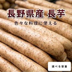小 5kg 沖縄県産 摘果マンゴー(お漬物用）10g～日々肥大 - メルカリ