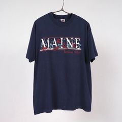 フルーツオブザルーム 90s ヴィンテージ アインシュタイン Tシャツ