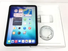 【美品】au iPad mini 第6世代 Wi-Fi＋Cellularモデル 64GB A2568(MK893J/A) スペースグレイ 〇判定 動作品