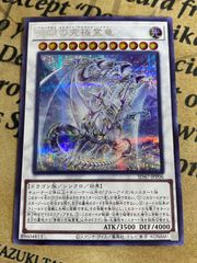 遊戯王 青眼の究極霊竜 シークレット SD47-JPP06 - メルカリ