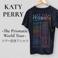 甲斐バンド 45周年記念 ツアー Tシャツ XL ネイビー - メルカリ