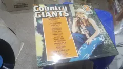 LP/ポップ ー アメリカ 国 ヒット まとめ売り 2 LP/内容必読