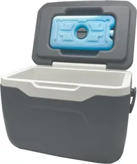 ラマス(Ramasu) クーラーボックス 4.8L 保冷剤付き 350ml缶6本 500mlペットボトル4本収納可 アウトドア キャンプ レジャー 釣り BBQ