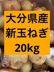 七宝早生♦️秀品3Lサイズ20Kg♦️淡路島新玉ねぎ たまねぎ 玉葱