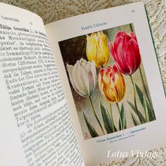 LES EXTRAVAGANTES / Leendert Blok 写真集 - メルカリ