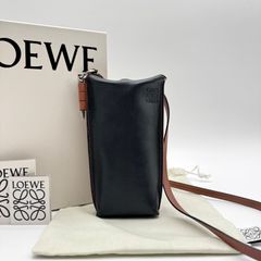 極美品✨LOEWE ロエベ ショルダーバッグ アマソナ ナノ アナグラム 