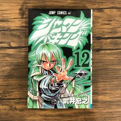 SHAMAN KING(12)/타케이 히로유키/GF-0226031670-YP/GF08991