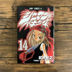 SHAMAN KING(14)/타케이 히로유키/GF-0226031672-YP/GF08991