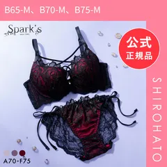 【新品】スパークス ノワールローズ ブラジャー ノーマルショーツ セット サイドリボン 脇高 谷間 ABCDEF バックレース 紐パン SPARKS(B65-M、B70-M、B75-M)