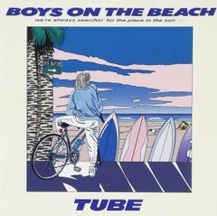 The Beach Boys ビーチボーイズ　国内盤CD 9アルバム　セット The Beach Boys ビーチボーイズ 国内盤CD 9アルバム セット - メルカリ