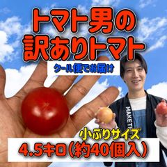 熊本県産 訳ありトマト 2380円 - メルカリ
