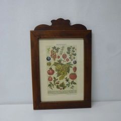 イタリア 植物画 ボタニカルアート 3セット (〜6/16まで) - メルカリ