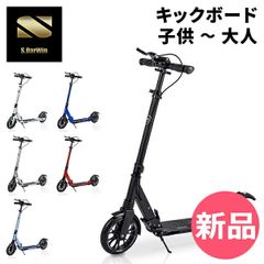 未使用・希少】限定デザイン マイクロスクーター スピードアズテック 