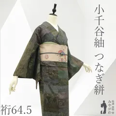 【中古】 小千谷紬 着物 正絹 袷 リサイクル 手織り 織り分け 100亀甲 絵絣 風景 草花 古典柄 百柄 段柄 多彩 グレー こげ茶 紫 緑 カジュアル 美品 紬 仕立て上がり 身丈158 裄丈64.5 Ｍサイズ みやがわ sb17537