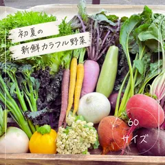 カラフル新鮮野菜詰め合わせ６０サイズのサムネイル