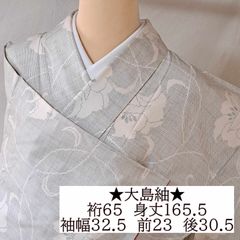 単衣・一つ紋・江戸小紋】裄65 身丈157.5 袖49.5 単衣 正絹 縫い一つ紋