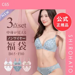 【新品】選べる6タイプ ノンワイヤー ブラジャー ショーツ 3点セット 刺繍レース＆ワントーンレース 福袋 アンダー80 下着 レディース 大きいサイズ(C65)