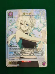 ユニオンアリーナ ゼータ パラレル R☆ 陰の実力者になりたくて