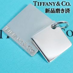 極美品】TIFFANY ネックレス ダブルプレート 激レア品 希少 925 - メルカリ