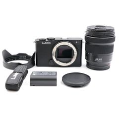 LUMIX S9本体+ SDカード(SanDisk 64GB) + L字グリップ - メルカリ