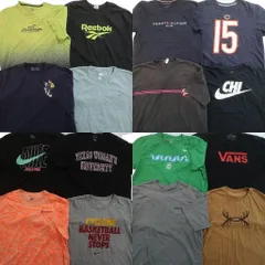古着卸 まとめ売り ブランドMIX Tシャツ 16枚セット ( メンズ XL ) パタゴニア ディッキーズ チャンピオン トミー 中古 古着 NE8626