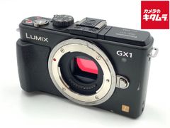 Lumix GX1 美品 シャッター回数3501回 純正レザーケース付き - メルカリ
