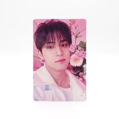 SEVENTEENセブチ ミンギュ always yours MINGYU SEVENTEEN ALWAYS YOURS JAPAN BEST ALBUM Official photo card