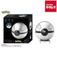はずる HUZZLE スーパーボール 難易度4 知恵の輪 ハナヤマ ポケモン