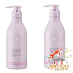 FLOWDIA フローディア シャンプー＆トリートメント グランストレッチ 550mL/550g プレゼント付のサムネイル