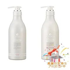 FLOWDIA フローディア シャンプー スリークモイストa＆トリートメント スリークモイストb 550mL/500g プレゼント付のサムネイル