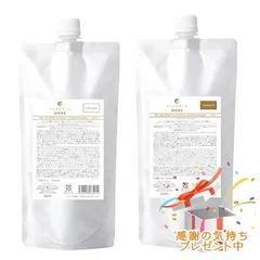 FLOWDIA MORE フローディアモア シャンプー＆トリートメントセット リペアコンクシルキー 詰替用  450ml/450g プレゼント付のサムネイル
