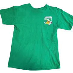 ANTI HERO SKATEBOARDS 半袖　Tシャツ　Mサイズ　グリーン　古着　メキシコ製　両面プリントのサムネイル