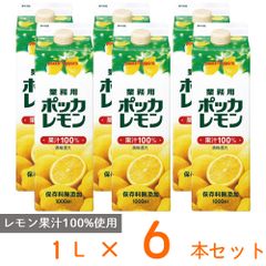 Asahi 未来のレモンサワー PLAIN 345ml×24缶入 2箱 - メルカリ