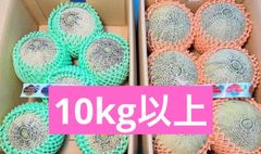 10kg以上】アンデスメロン＆レノンハートメロン 食べ比べセット - メルカリ