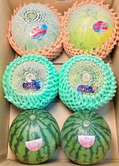 10kg以上】アンデスメロン＆レノンハートメロン 食べ比べセット - メルカリ