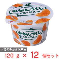 まるごとみかん＆果汁ゼリー 和歌山県産みかん使用 - メルカリ