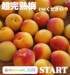 ヒーコ様　5Kg 食べごろサイズ ヒーコ様 5Kg 食べごろサイズ - メルカリ