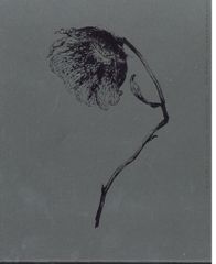 애니메이션 DVD NieR : Automata Ver1.1a Vol.1 완전 생산 한정판 1