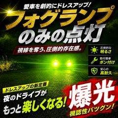 LED H8 H11 H16 グリーンレモン ワンオフ 輝神 明るい - メルカリ