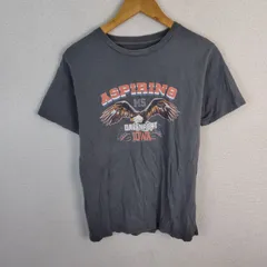 Ungrid アングリッド ASPIRING イーグルプリントTシャツ アニマルプリント チャコールグレー メンズ 古着 アメカジ ストリートのサムネイル