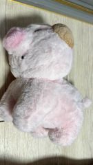 上野動物園 パンダ 赤ちゃん ぬいぐるみ 暁暁 香香 シャンシャン