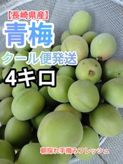 和歌山 南高梅 4L 約1.9kg クール便 - メルカリ