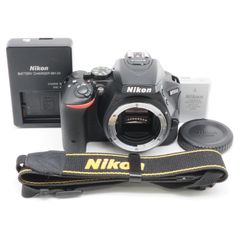 ショット数4802回】 Nikon D3300 レンズセット SDカード付き - メルカリ