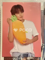 Seventeen ミンギュ セブチ 2018 SEVENTEEN CONCERT IDEAL CUT IN JAPAN TRADING CARD