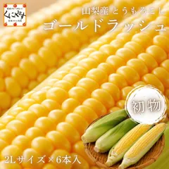 新発売！今は初物 出荷中！★糖度は15〜18度 フルーツ並みの糖度を誇る とうもろこし ★【産地直送】【送料無料】【クール便】山梨県産 とうもろこし ゴールドラッシュ 2Lサイズ 6本入り 約2.5kg（1本約400g）「ゴールドラッシュ」のサムネイル