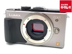 2026年最新】lumix gx1の人気アイテム - メルカリ