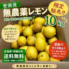 訳あり⭐️広島県産無農薬レモン10キロ箱込（農薬：栽培期間中不使用） 訳あり品）広島県産レモン箱込み約10キロ（農家直送） - メルカリ